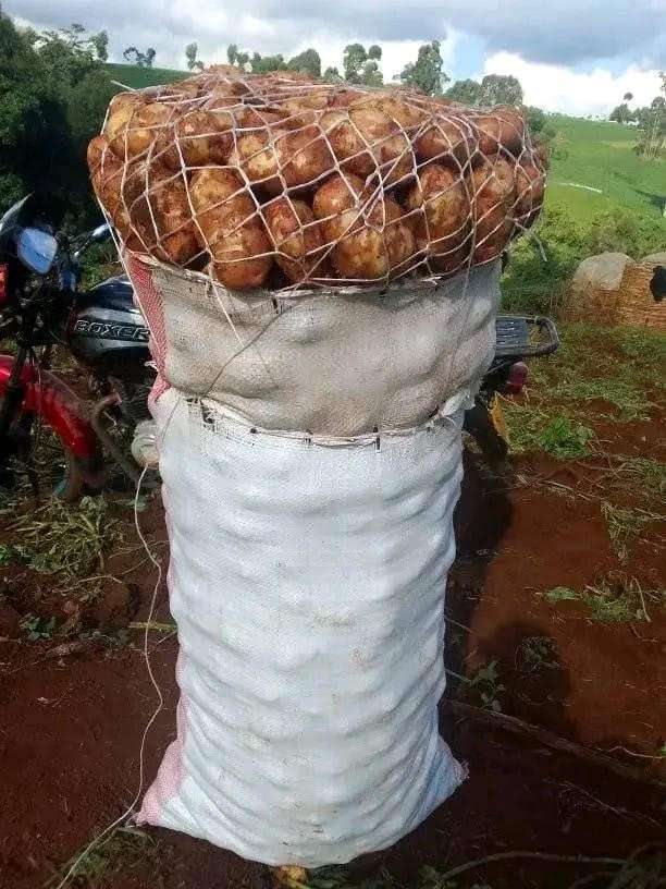 Mt Elgon farmers
