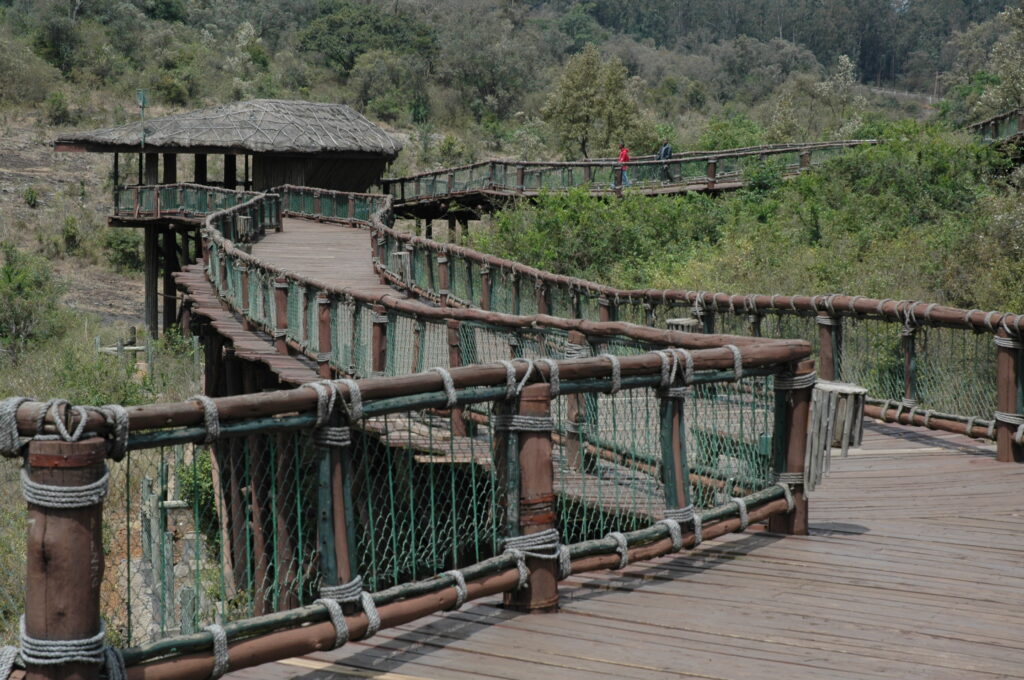 Nairobi Safari Walk
