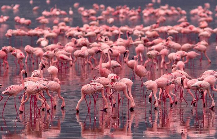 Best places to visit in Kenya