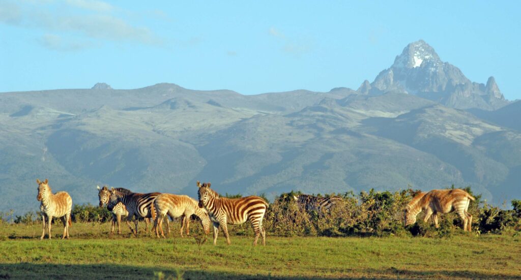 Mount Kenya National Park - Kenya Destinations | Kenya National Parks