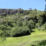 Kongit: An Agricultural Hub on the Slopes of Mount Elgon