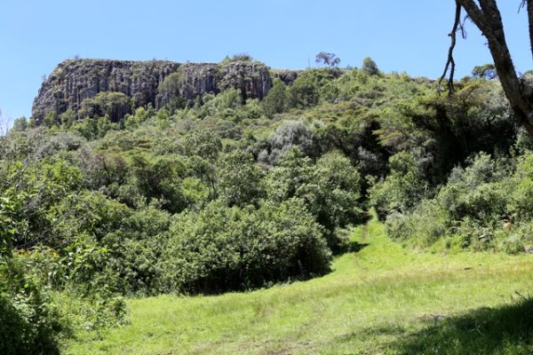 Kongit: An Agricultural Hub on the Slopes of Mount Elgon Kongit: An Agricultural Hub on the Slopes of Mount Elgon