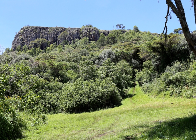Kongit: An Agricultural Hub on the Slopes of Mount Elgon Kongit: An Agricultural Hub on the Slopes of Mount Elgon