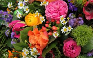 Top 4 Flower Export Companies in Kenya